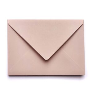 Wedding Envelope Blush